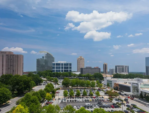 The Westin Buckhead Atlanta hotel detail image 4