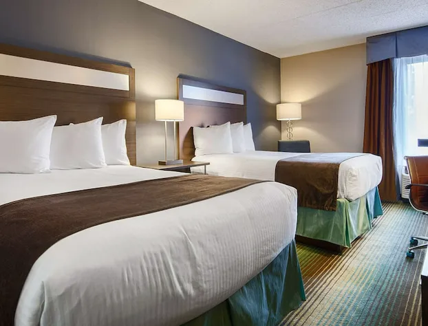 Best Western O'Hare/Elk Grove Hotel hotel detail image 2