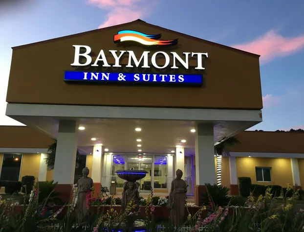 Baymont by Wyndham Walterboro hotel detail image 1