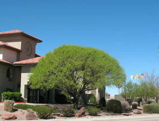 Quality Inn & Suites Gallup I-40 Exit 20 hotel detail image 1