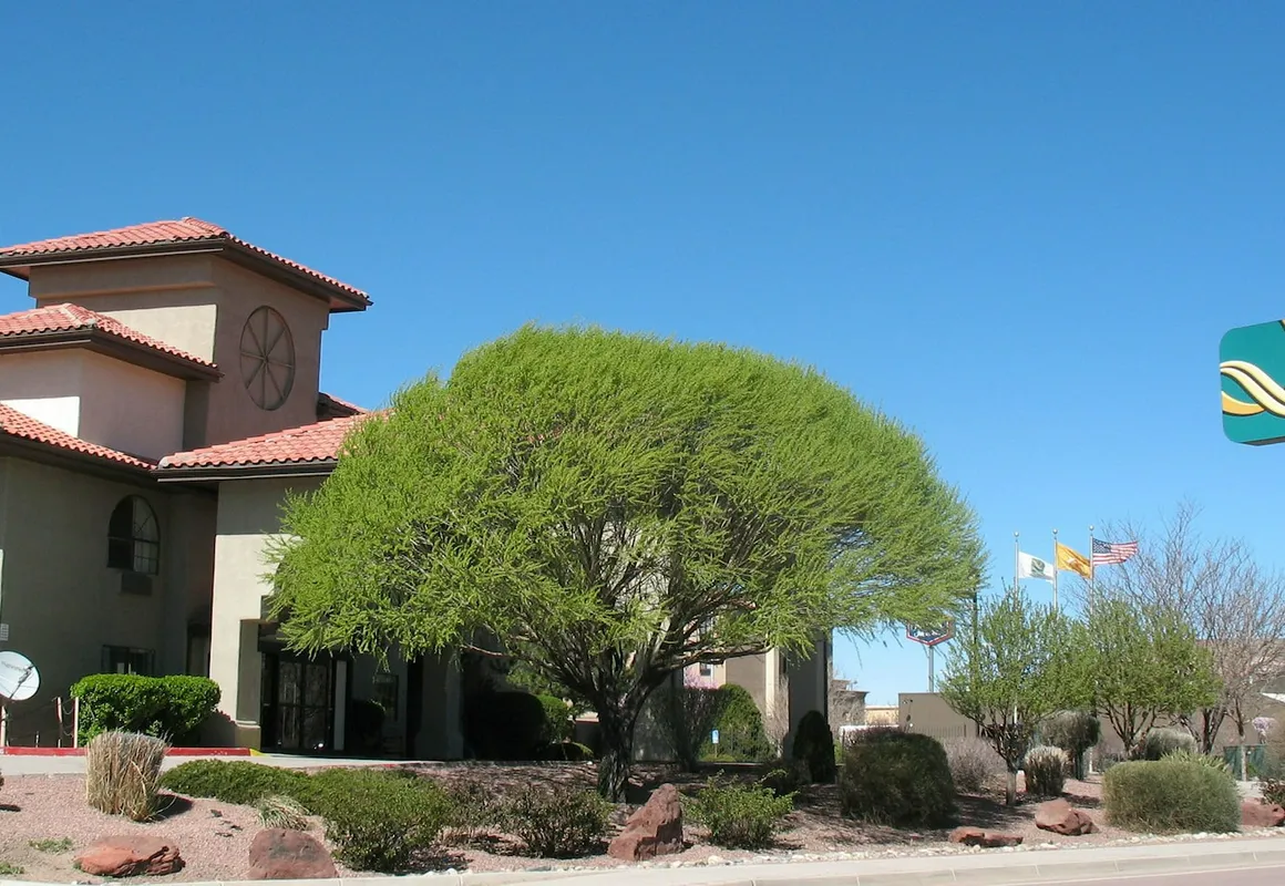 Quality Inn & Suites Gallup I-40 Exit 20 hotel hero