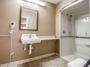 Quality Inn & Suites Ft. Jackson Maingate hotel detail image 3