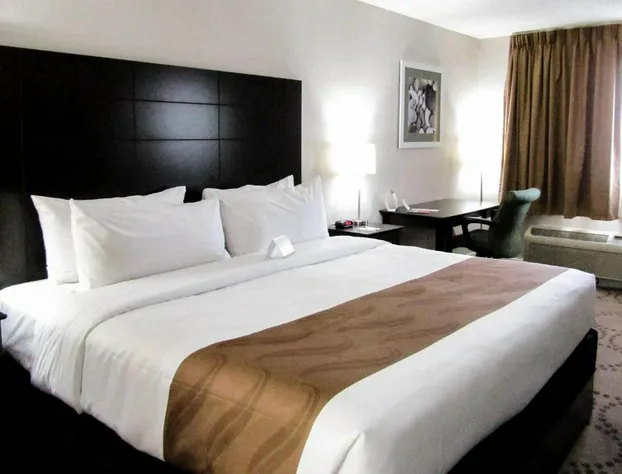 Quality Inn & Suites Kissimmee near Main Gate hotel detail image 3