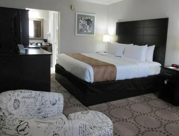 Quality Inn & Suites Kissimmee near Main Gate hotel detail image 4