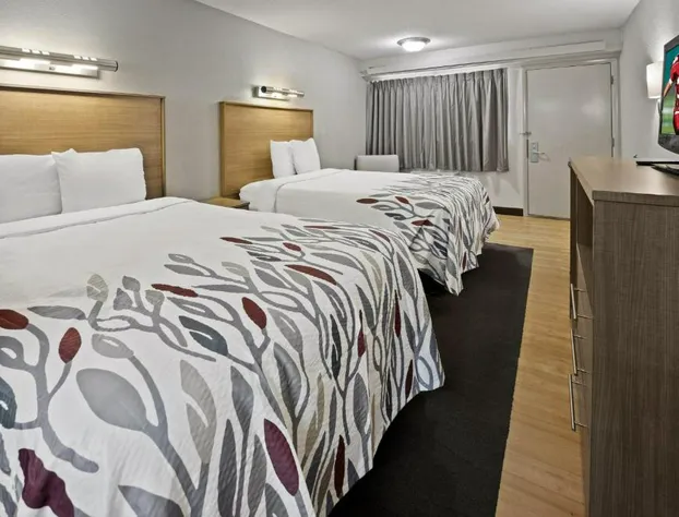 Red Roof Inn Greensboro Airport hotel detail image 3