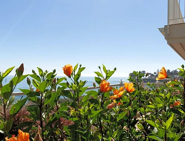 Sea & Sand Inn hotel detail image 4