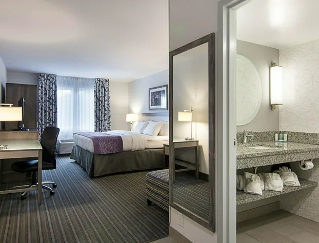 Comfort Inn Williamsburg Gateway hotel detail image 3