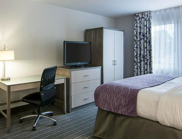 Comfort Inn Williamsburg Gateway hotel detail image 4