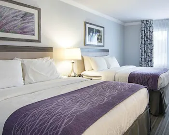 Comfort Inn Williamsburg Gateway hotel detail image 3