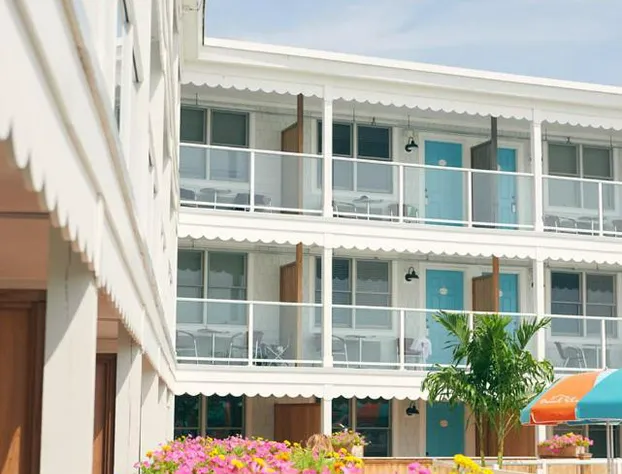 The Beach Shack hotel detail image 1