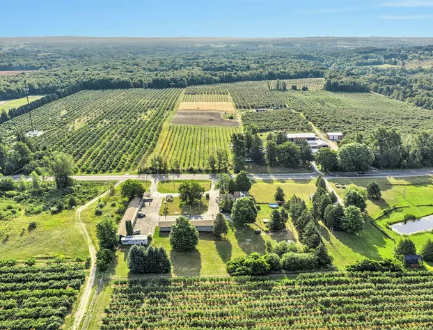 The Last Resort hotel detail image 2