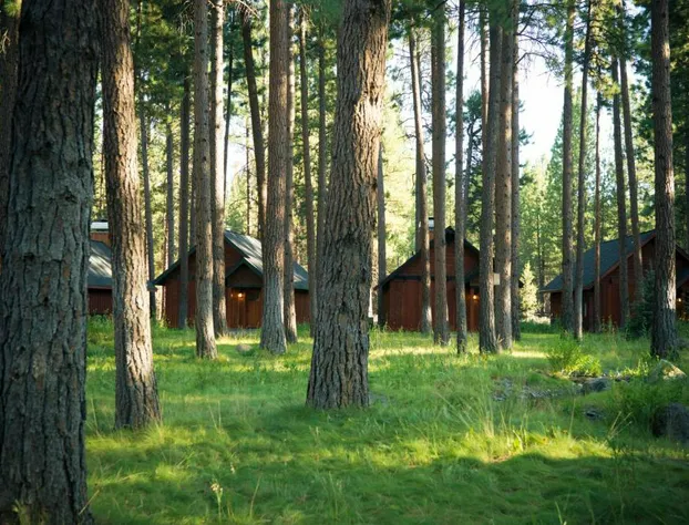 FivePine Lodge & Spa hotel detail image 2