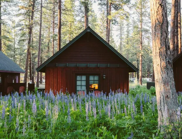 FivePine Lodge & Spa hotel detail image 3