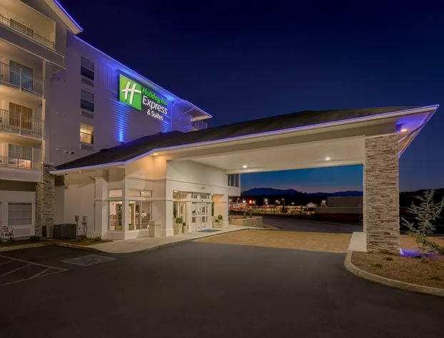 Holiday Inn Express and Suites Pigeon Forge Sevierville by IHG hotel detail image 2