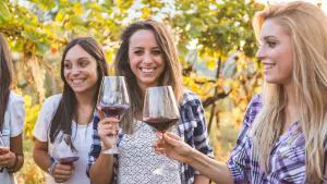 Charles Wesley Motor Lodge hotel detail image 3