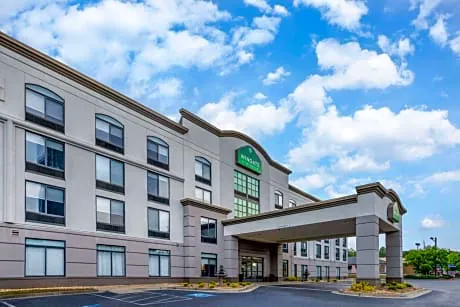 Wingate by Wyndham Atlanta Galleria/Ballpark hotel detail image 4