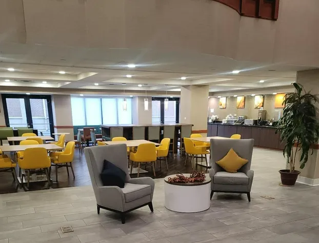 Comfort Inn & Suites Arlington Heights - Schaumburg hotel detail image 2