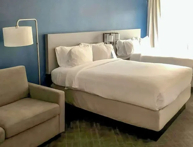 Comfort Inn & Suites Arlington Heights - Schaumburg hotel detail image 4