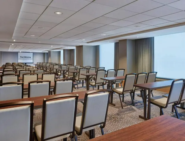 The Westin Detroit Metropolitan Airport hotel detail image 3