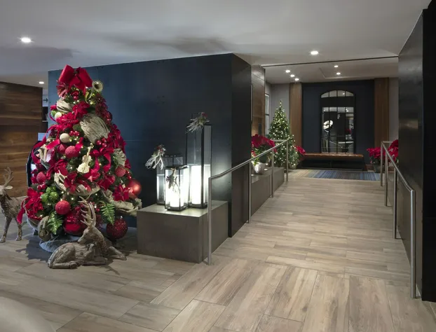 Four Points by Sheraton Los Angeles Westside hotel detail image 3