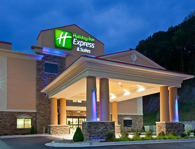 Holiday Inn Express Hotel & Suites RIPLEY by IHG hotel detail image 1