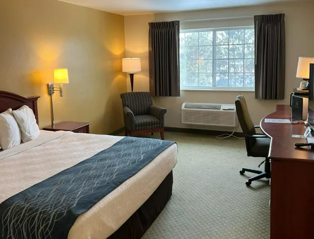 GrandStay Hotel & Suites Becker Big Lake hotel detail image 4