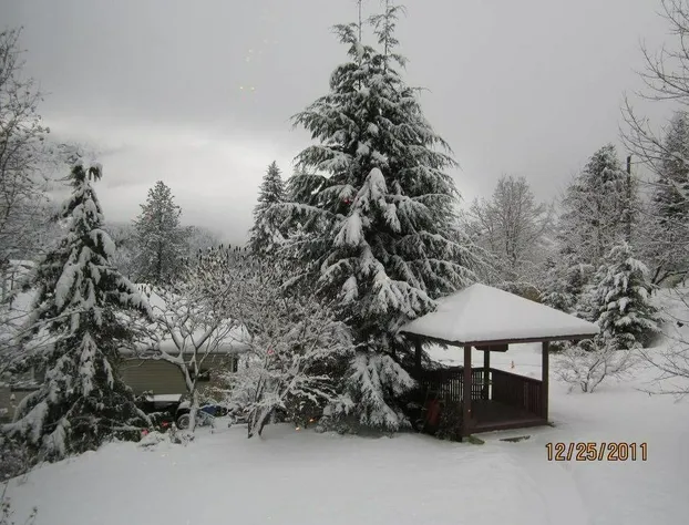 Creekside B & B hotel detail image 2