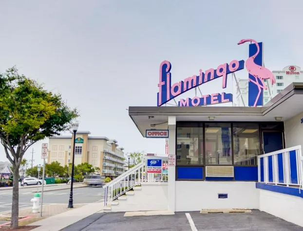 Flamingo Motel hotel detail image 4