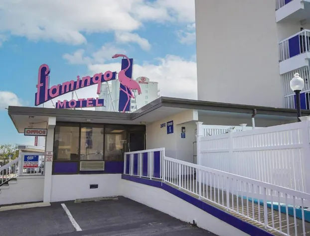 Flamingo Motel hotel detail image 2