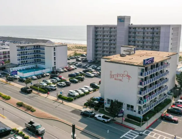Flamingo Motel hotel detail image 4