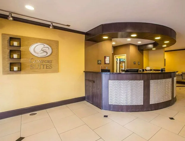 Comfort Suites Simpsonville - Greenville hotel detail image 3