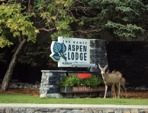 Banff Aspen Lodge hotel detail image 1