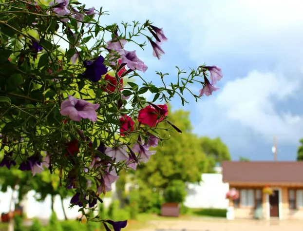 Hawberry Motel hotel detail image 2