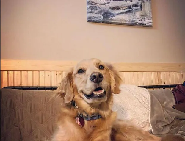 Twisp River Suites hotel detail image 3