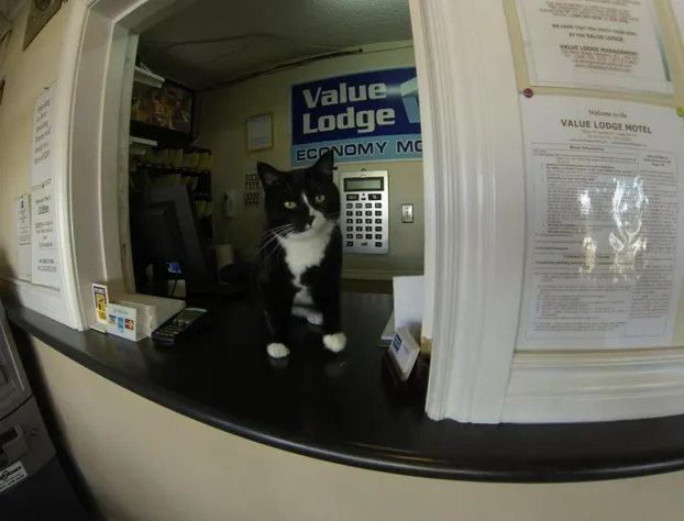 Value Lodge Economy Motel hotel detail image 4