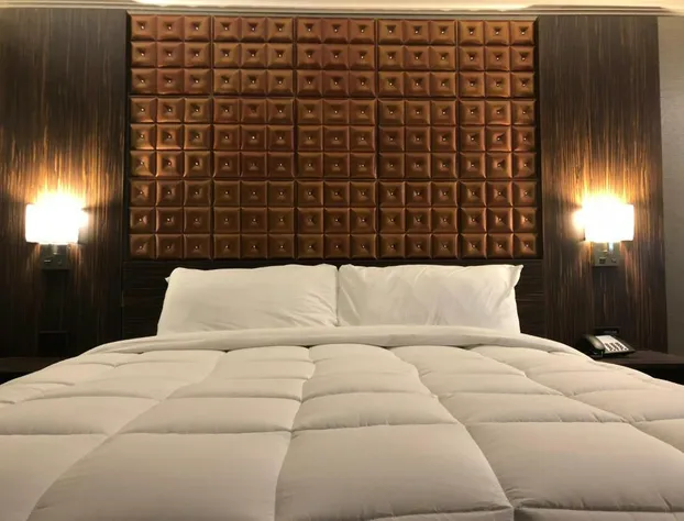 Lincoln Hotel Philadelphia hotel detail image 3