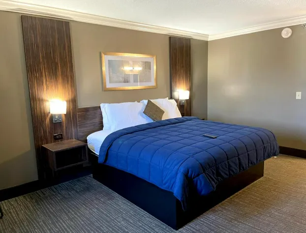 Lincoln Hotel Philadelphia hotel detail image 4