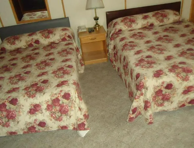 The Dreamland Motel hotel detail image 3