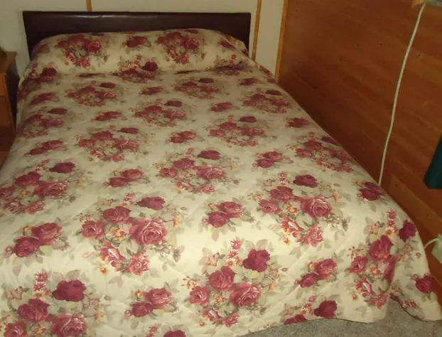 The Dreamland Motel hotel detail image 4