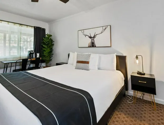 The Jeffrey Hotel hotel detail image 4