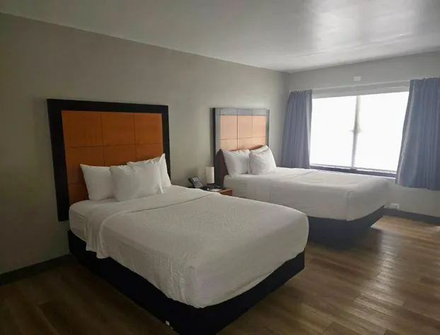 La Quinta Inn Tampa Airport Stadium Westshore hotel detail image 4