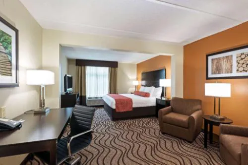 Comfort Inn & Suites Tampa North I-75 hotel detail image 4