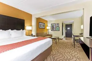 Comfort Inn & Suites Tampa North I-75 hotel detail image 2