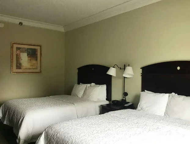 Hampton Inn Vidalia hotel detail image 1