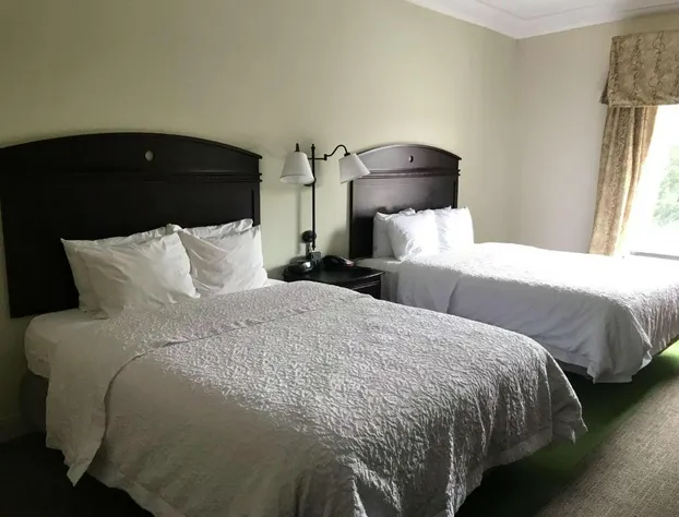 Hampton Inn Vidalia hotel detail image 2