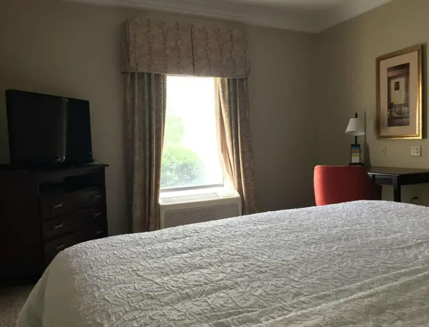 Hampton Inn Vidalia hotel detail image 3