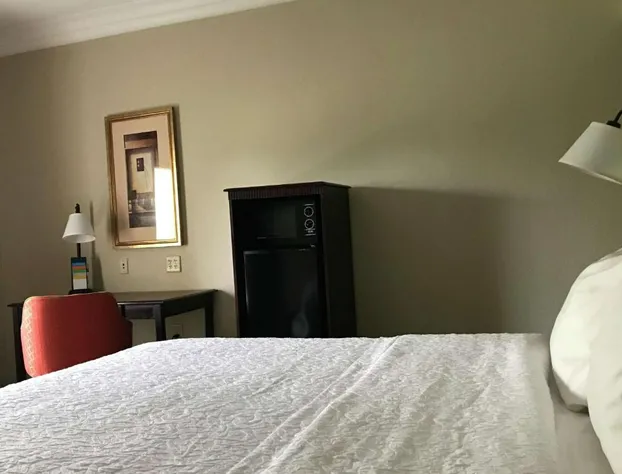 Hampton Inn Vidalia hotel detail image 4