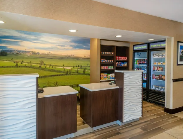 La Quinta Inn & Suites by Wyndham Lexington South / Hamburg hotel detail image 3