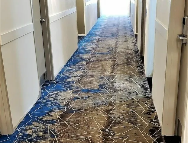 Comfort Inn Boston Milford hotel detail image 3