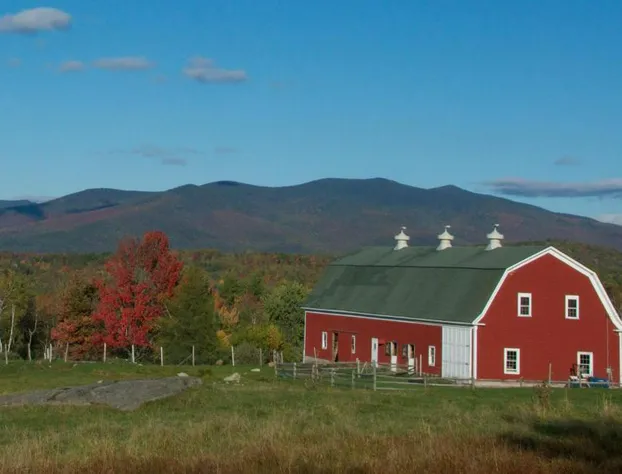 Mountain View Grand Resort & Spa hotel detail image 4